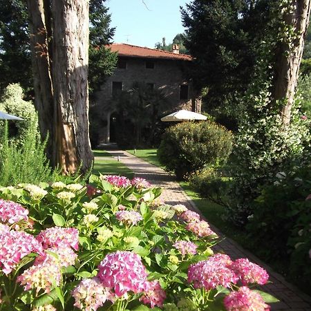 L'Arcadia Guest House Pietrasanta Exterior foto