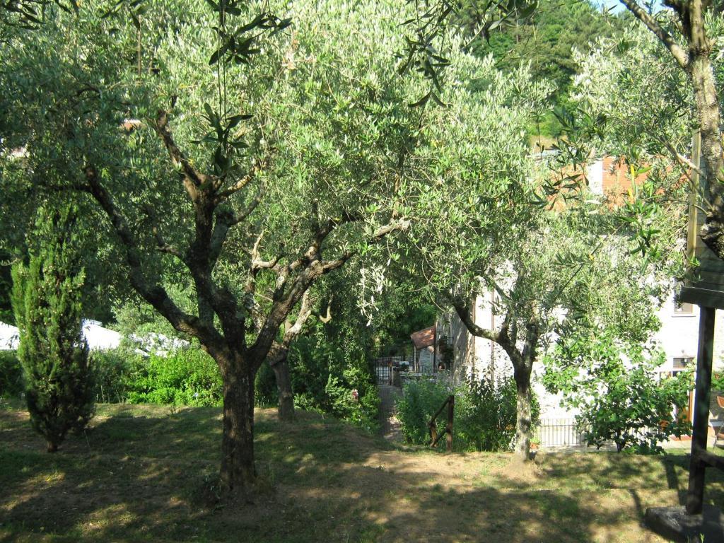 L'Arcadia Guest House Pietrasanta Exterior foto